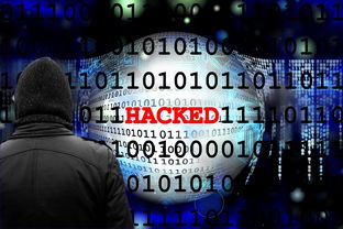 米兰体育app官网-Palmer或成切尔西进攻新核心，pedro切尔西