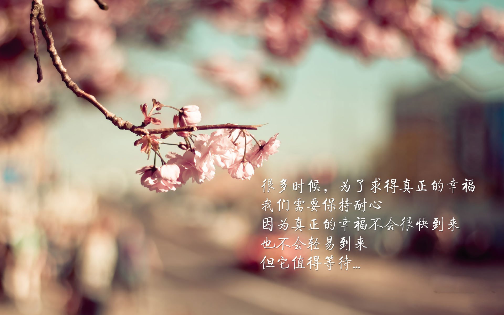 乌拉圭男篮在南美锦标赛中持续爆发，体育影响不断扩大，乌拉圭男篮nba球员名单