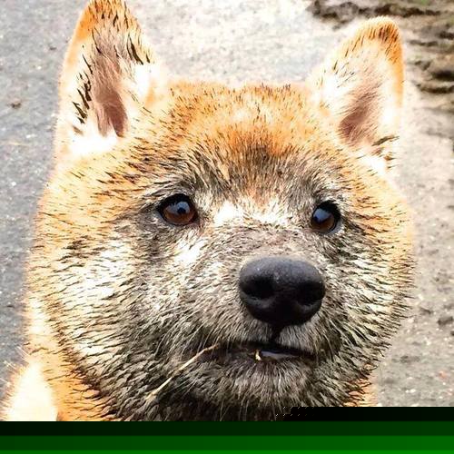 国字号梯队注重身体素质测试提升队伍整体硬度