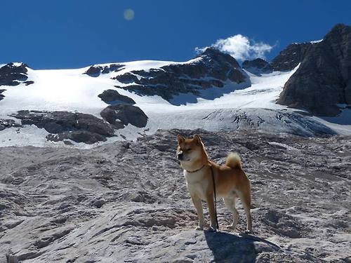 AC米兰新闻-拉尼·帕利斯特决赛发挥无懈可击，帕尼尼利拉德