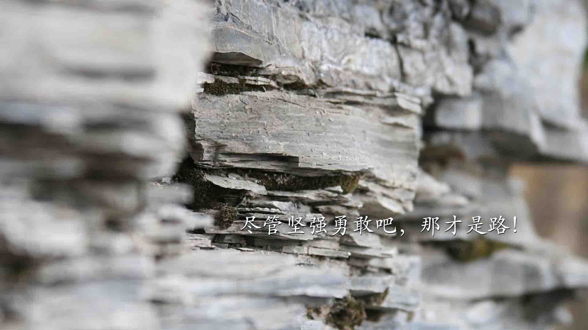 拉尼·帕利斯特决赛发挥无懈可击，帕尼尼利拉德